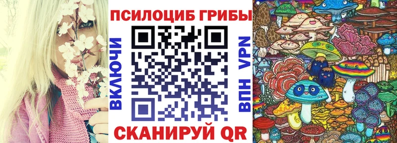 Купить закладки  Спасск  Галлюциногенные грибы Psilocybine cubensis 